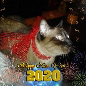 Meet your Posher, Marie